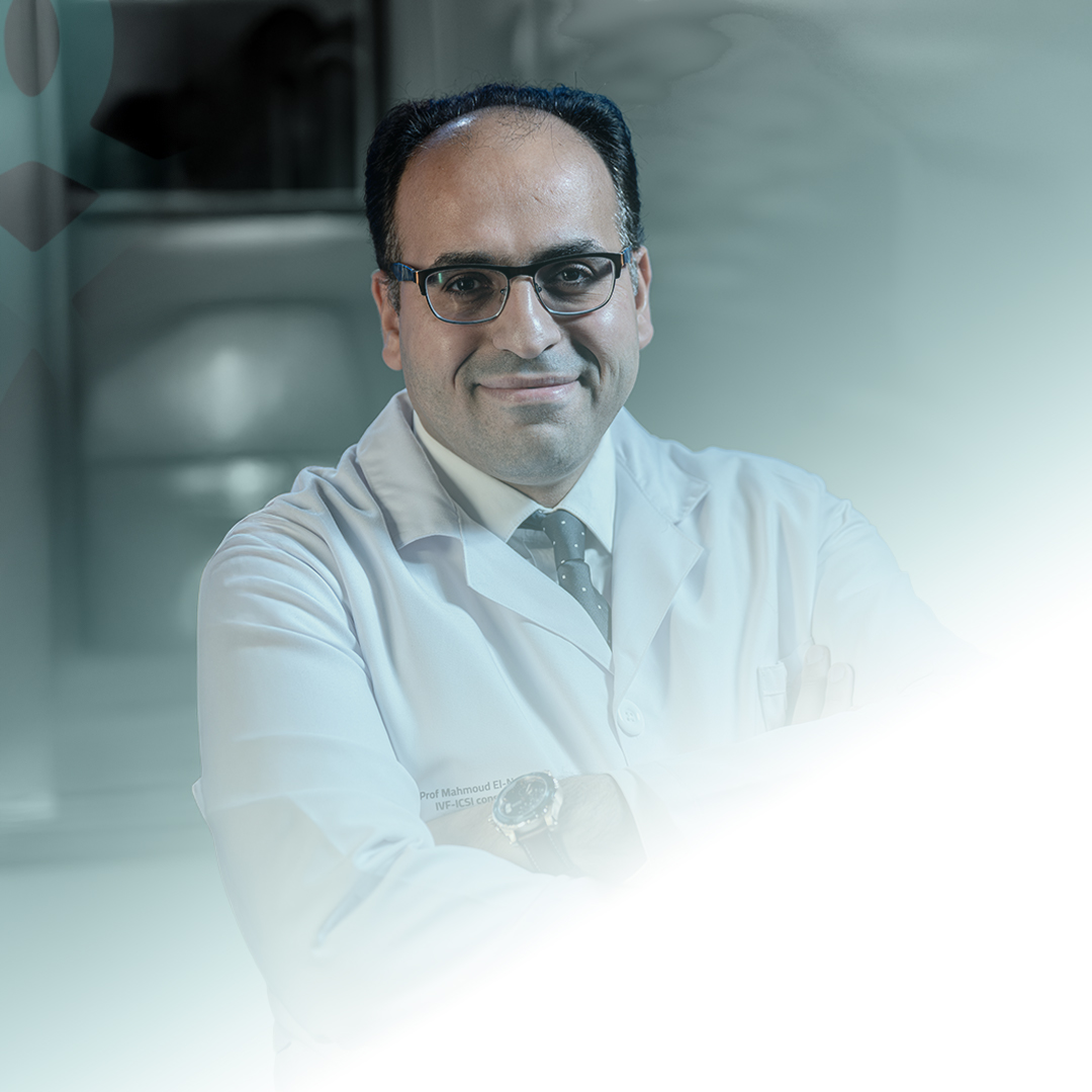 د. محمود النجار