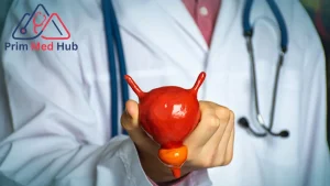 دكتور ذكورة وعقم في مصر – دليلك الشامل لصحة الرجل والإنجاب - Prime Med Hub