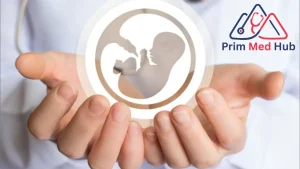 أفضل مركز لعلاج تأخر الحمل في مصر | Prime Med Hub 